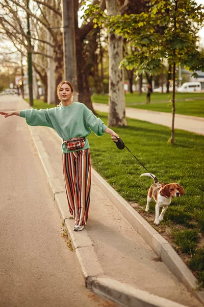 Autostoppista femminile con cane vicino al parco — Foto Stock