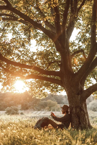 Penjelajah pria menggunakan smartphone di bawah pohon — Stok Foto