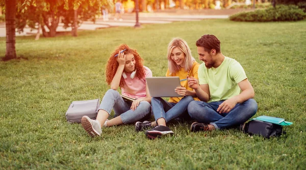 Grupp studenter som gör läxor i parken — Stockfoto
