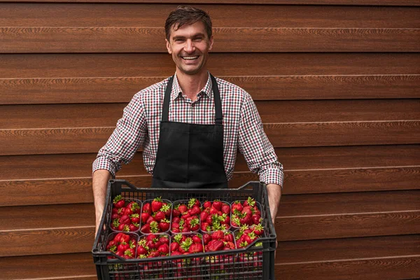 Cheerful small business owner with box of strawberries — 스톡 사진
