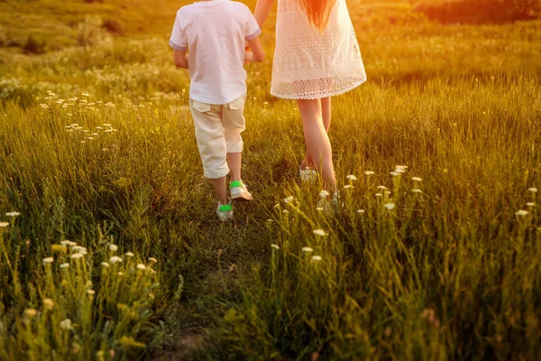 Colheita irmão e irmã andando no prado — Fotografia de Stock