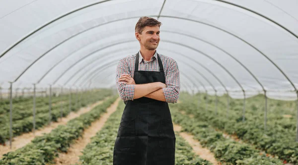 Успішний впевнений власник ферми стоїть в теплиці — стокове фото