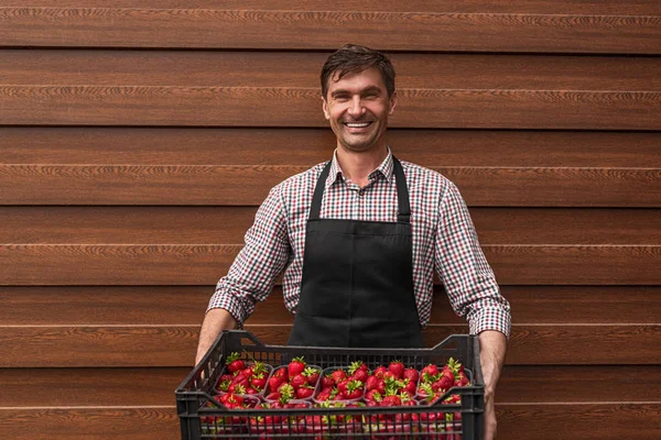 Cheerful farmer with box of fresh strawberry standing against wooden wall