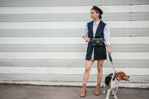 Elegante entrenador de perros con Beagle en la calle —  Fotos de Stock