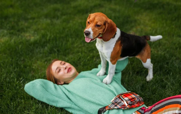 Wanita bahagia dan anjing beagle menikmati waktu bersama di taman Stok Foto Bebas Royalti