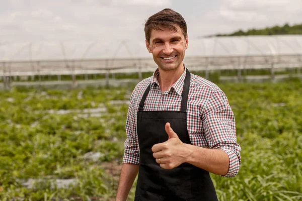 Agricultor alegre gesticulando polegar perto do campo — Fotografia de Stock