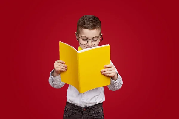 Rolig skolpojke läser intressant bok — Stockfoto