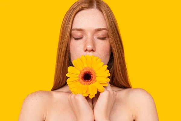 ガーベラの花と穏やかな生姜モデル — ストック写真