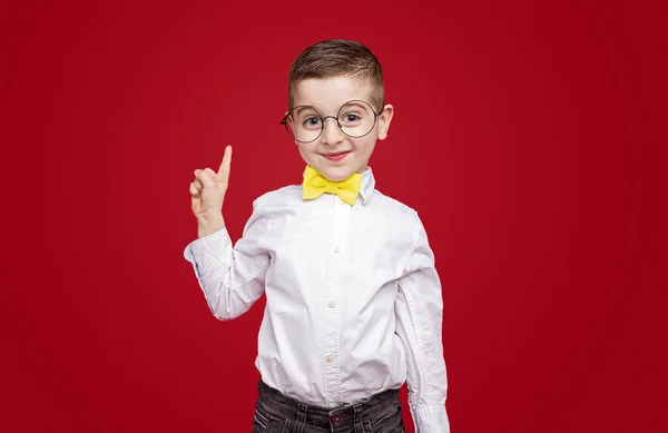 Rolig skolpojke pekar upp och ler — Stockfoto