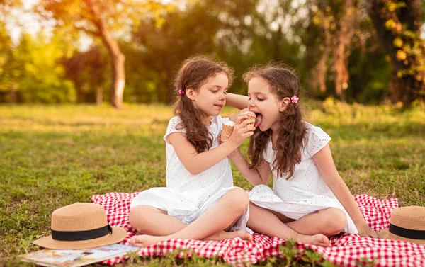 Meninas gêmeas comendo sorvete no parque — Fotografia de Stock