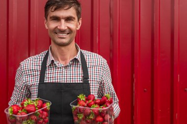 Çiftlikte çilekli mutlu adam