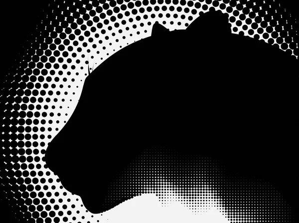 yarı ton yaban hayatı bir dünya. leopar. Panter. Puma. dişi aslan. kedi