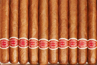 humidor içinde birçok puro