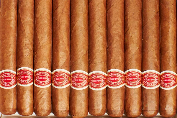 humidor içinde birçok puro