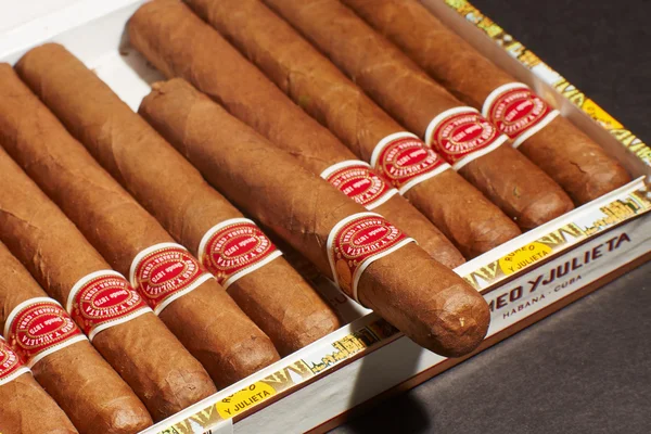 Muchos cigarros en humidor — Foto de Stock