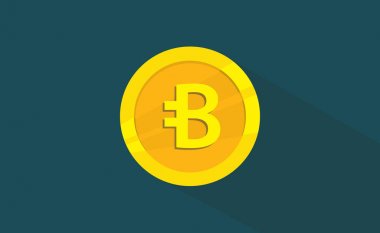 bytecoin cryptocurrency teknoloji simgesi logo düz stil izole