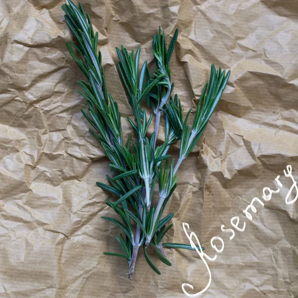 Bunch of fresh rosemary on kraft paper, square format — Stock Photo, Image