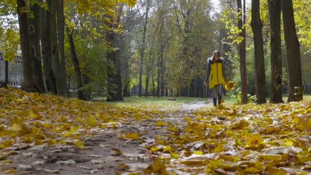 Meisje wandelen in de herfst park — Stockvideo