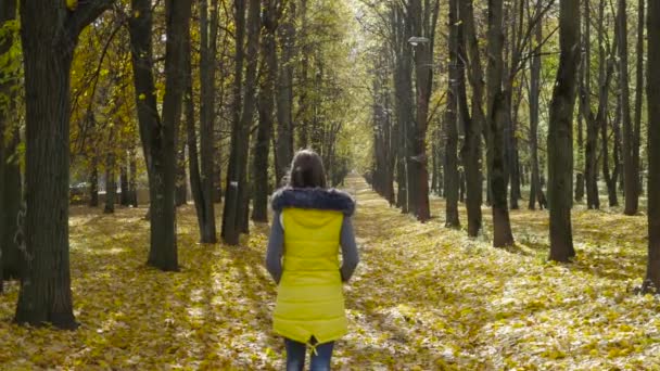 Meisje wandelen in de herfst park — Stockvideo