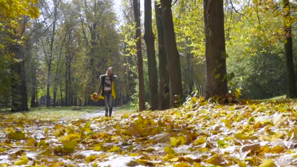 Lány séta az őszi parkban — Stock videók