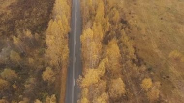 Bir yükseklikten sonbahar yol