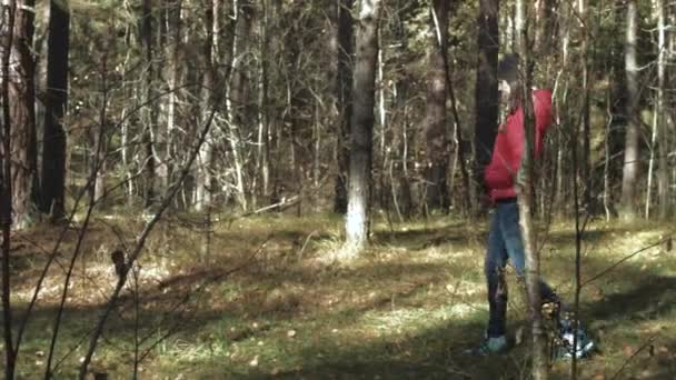 Girl walking on autumn forest — ストック動画