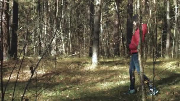 Girl walking on autumn forest — Stockvideo