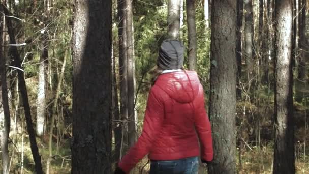 Girl walking on autumn forest — Αρχείο Βίντεο