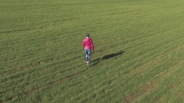 The girl walks slowly on the green field — Stockvideo