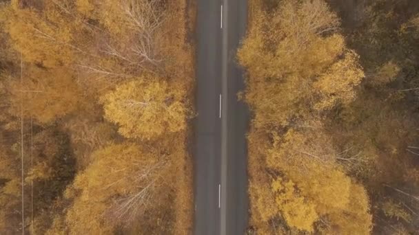 Autumn road from a height — Stock Video