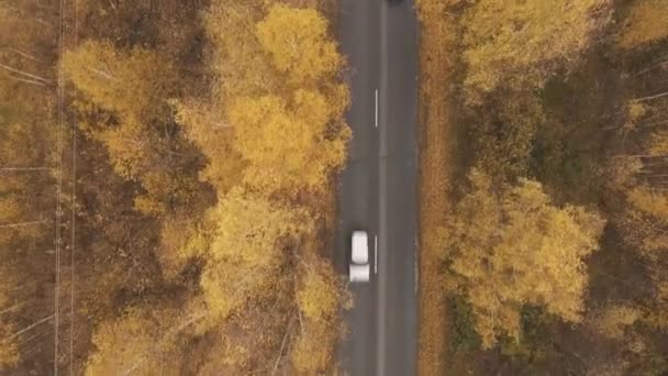 Autumn road from a height — ストック動画