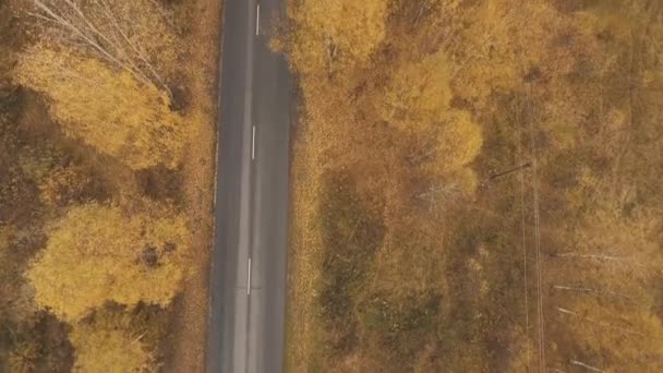 Autumn road from a height — Stockvideo