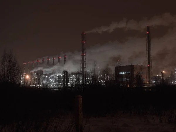 Planta química nocturna —  Fotos de Stock