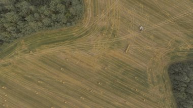 Sonbaharda hasat alanları