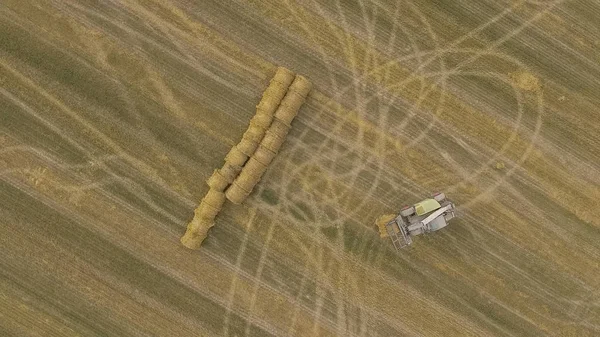 Sonbaharda hasat alanları