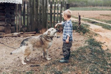 Bir köpekle oynamayı bir köy çocuğu