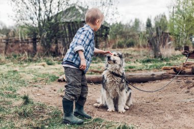 Bir köpekle oynamayı bir köy çocuğu