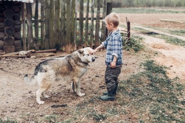 Bir köpekle oynamayı bir köy çocuğu