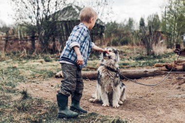 Bir köpekle oynamayı bir köy çocuğu