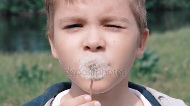 Mały chłopiec ciosy mniszek lekarski — Wideo stockowe