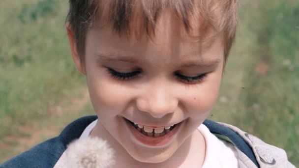Küçük çocuk darbeler karahindiba — Stok video