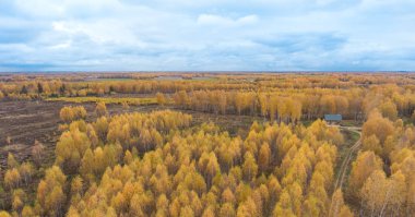 Sonbahar woods ve bir kuşbakışı olan alanlar