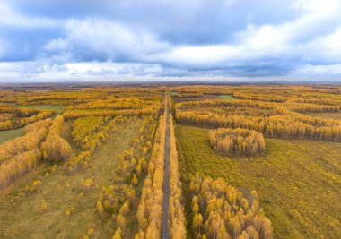 Sonbahar woods ve bir kuşbakışı olan alanlar