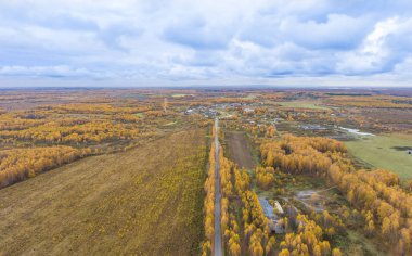 Sonbahar woods ve bir kuşbakışı olan alanlar