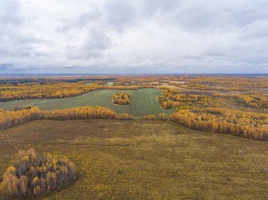 Sonbahar woods ve bir kuşbakışı olan alanlar