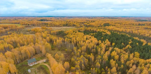 Sonbahar woods ve bir kuşbakışı olan alanlar