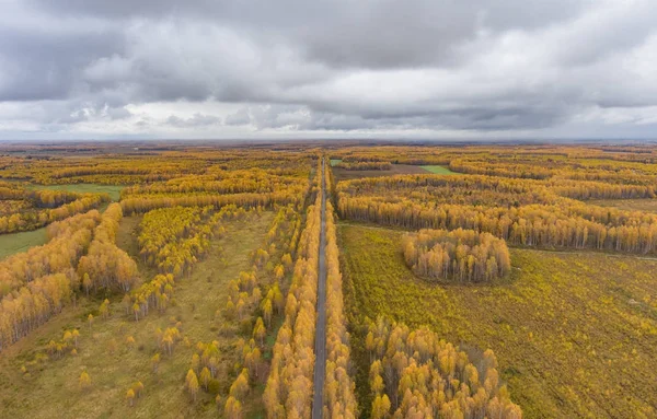 Sonbahar woods ve bir kuşbakışı olan alanlar