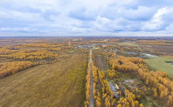 Sonbahar woods ve bir kuşbakışı olan alanlar