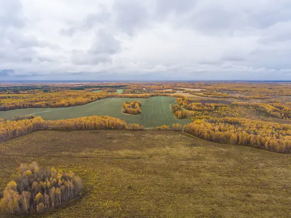 Sonbahar woods ve bir kuşbakışı olan alanlar