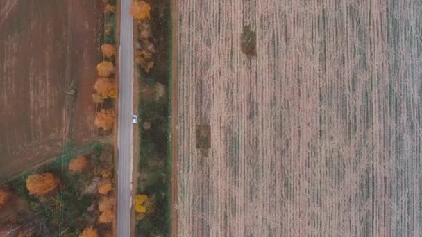 Het uitzicht vanuit de lucht. Gouden herfst vliegen over landweg — Stockvideo